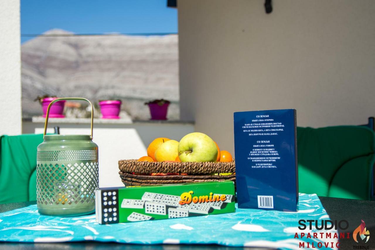 Studio Apartmani Milovic Trebinje Exterior foto